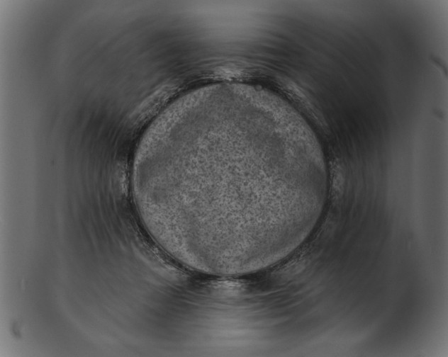 X0000103240313200809111603