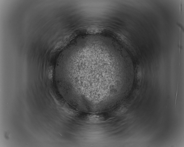 X0000103240315200809111603