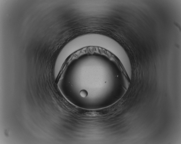 X0000103240316200809111603