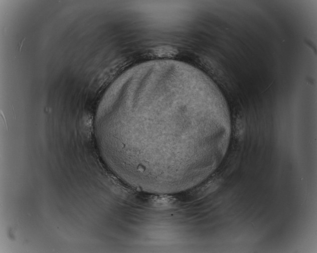 X0000103240321200809111603