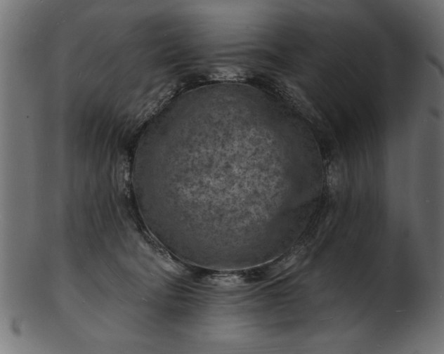 X0000103240322200809111603