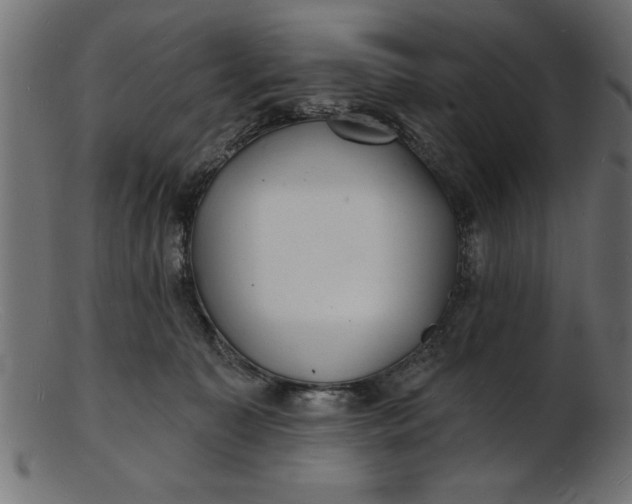 X0000103240323200809111603