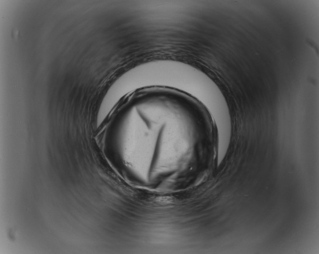 X0000103240324200809111603