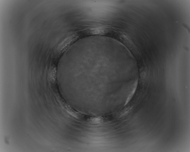 X0000103240325200809111603