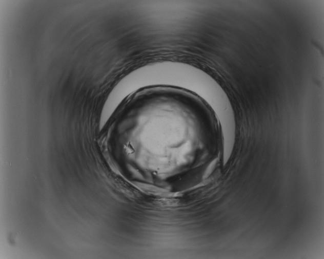 X0000103240328200809111603