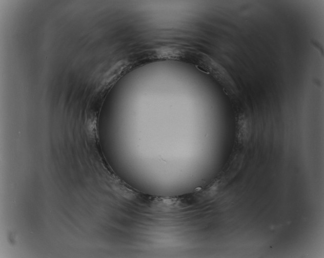 X0000103240329200809111603