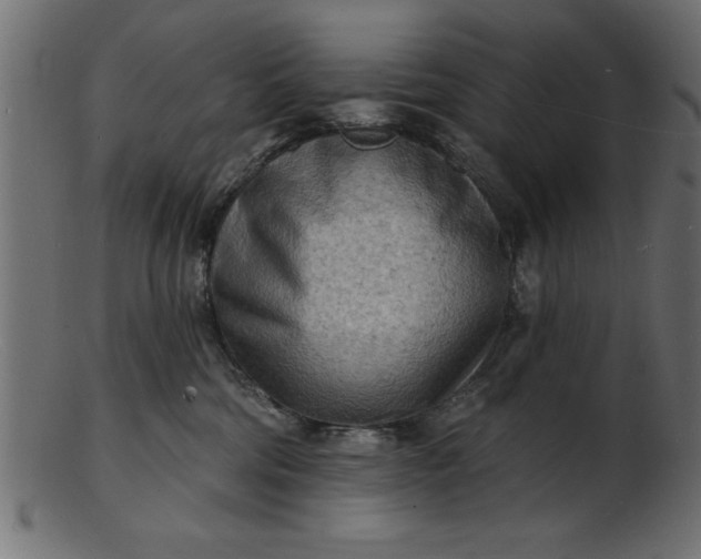 X0000103240330200809111603