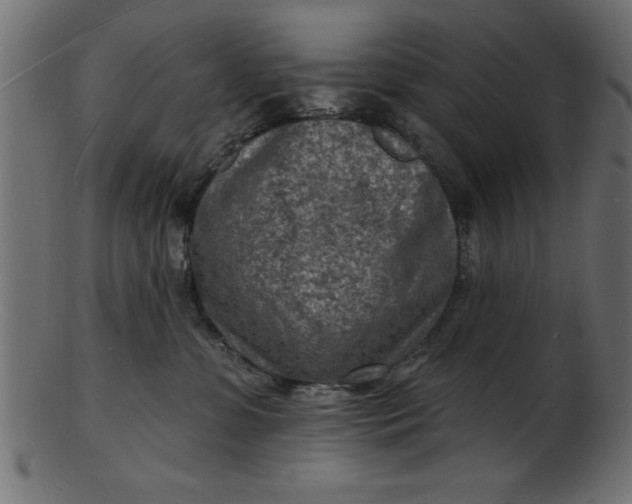 X0000103240331200809111603