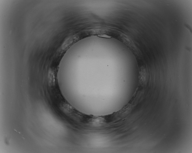 X0000103240333200809111602