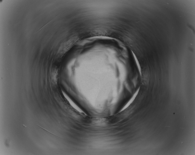 X0000103240334200809111602