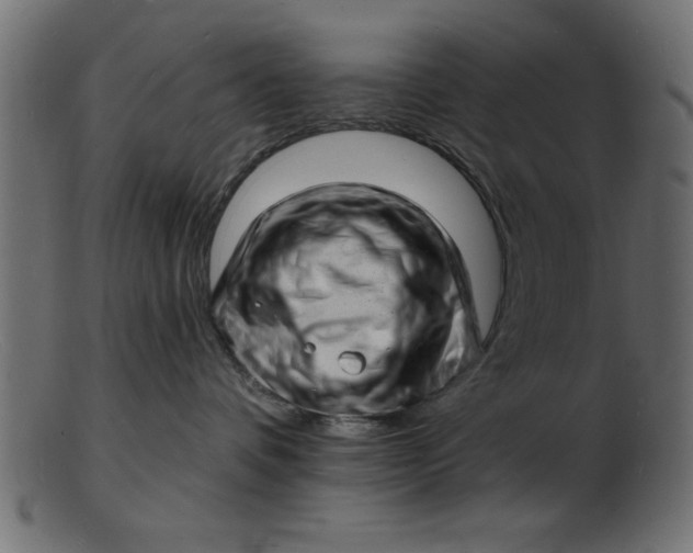 X0000103240336200809111602