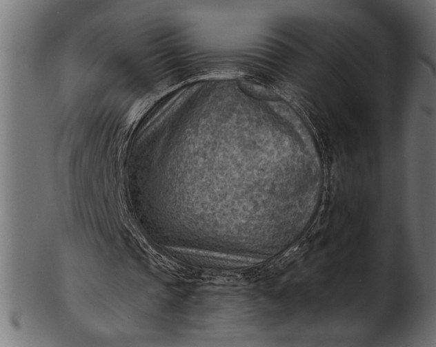 X0000103240337200809111602