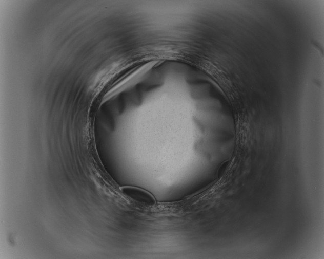 X0000103240338200809111602