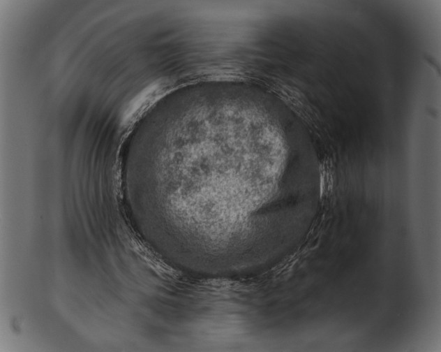 X0000103240339200809111602