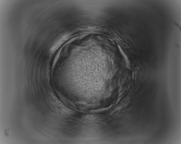 X0000103240341200809111602