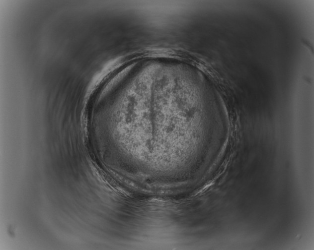 X0000103240343200809111602