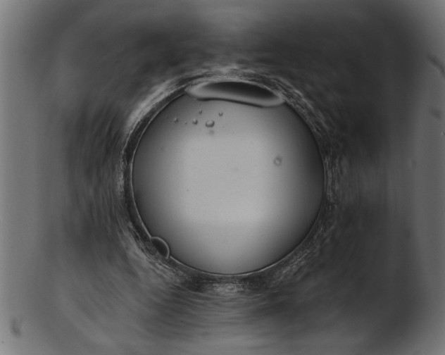 X0000103240344200809111602