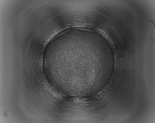 X0000103240346200809111602