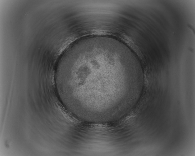 X0000103240347200809111602