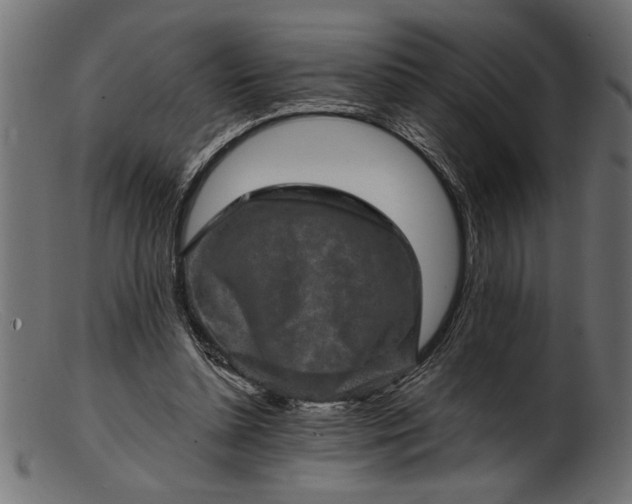 X0000103240348200809111602