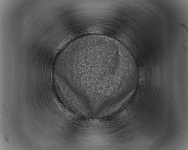 X0000103240349200809111602