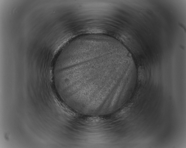 X0000103240351200809111602