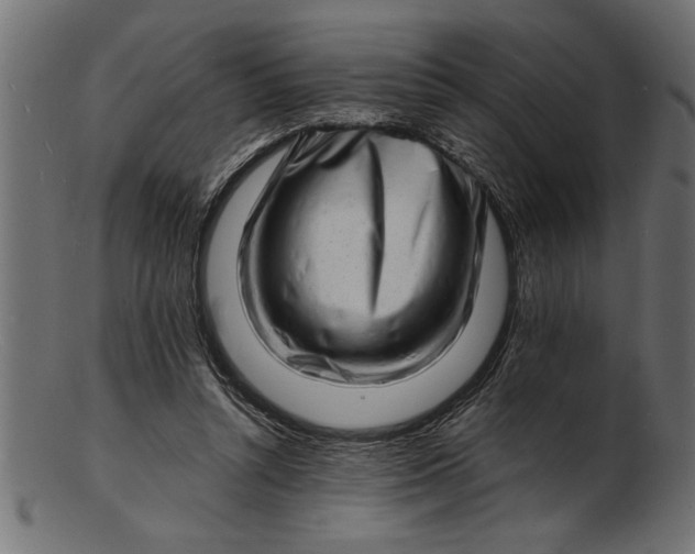 X0000103240352200809111602