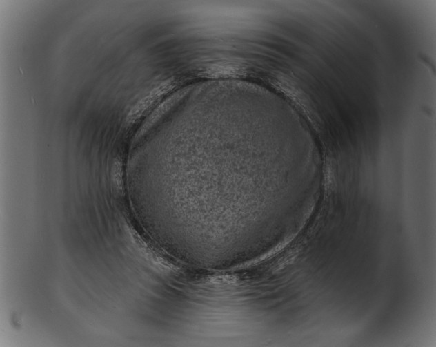 X0000103240353200809111602