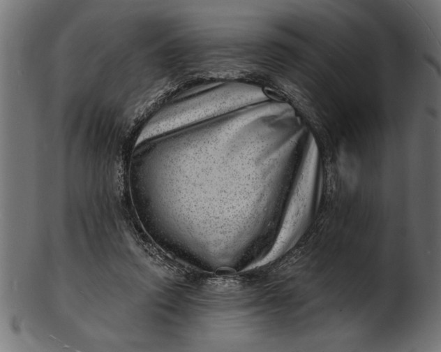 X0000103240354200809111602