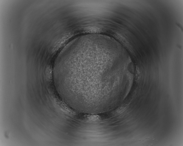 X0000103240355200809111602