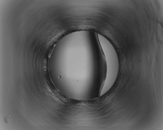 X0000103240356200809111602