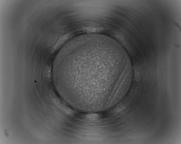 X0000103240357200809111602