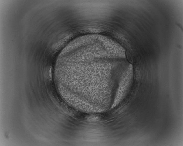 X0000103240358200809111602