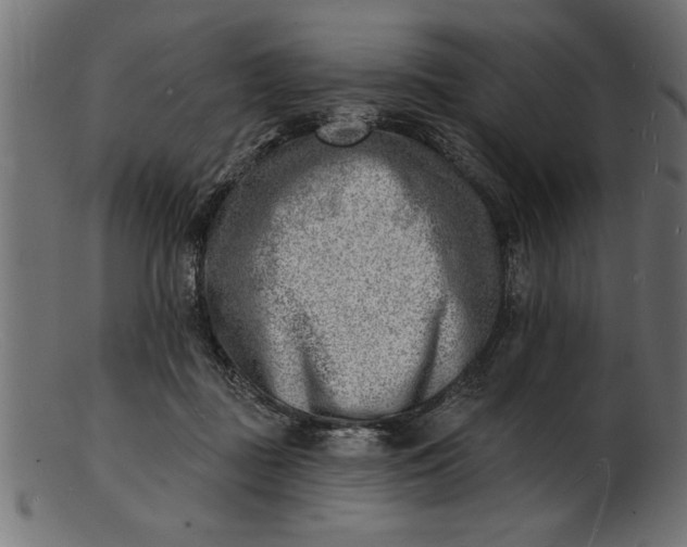 X0000103240363200809111602