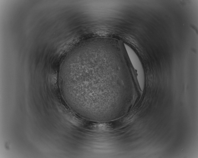 X0000103240365200809111602