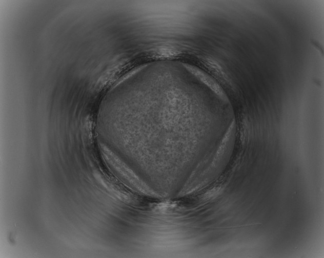 X0000103240366200809111602