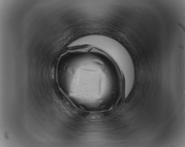 X0000103240368200809111602