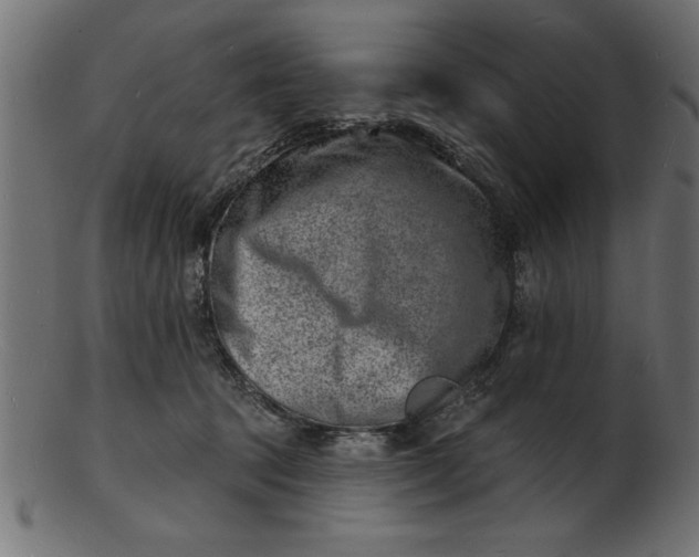 X0000103240369200809111602