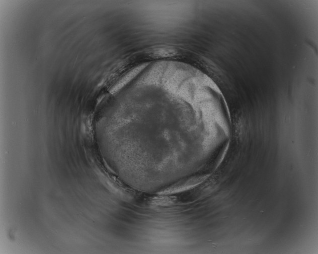 X0000103240373200809111602