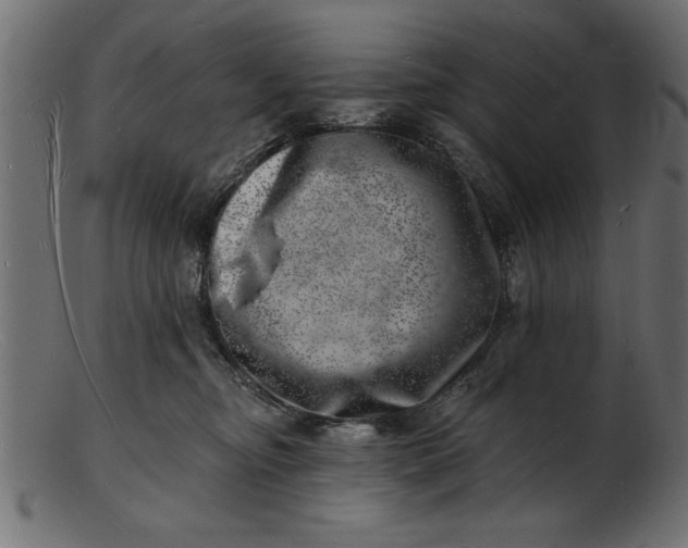 X0000103240374200809111602