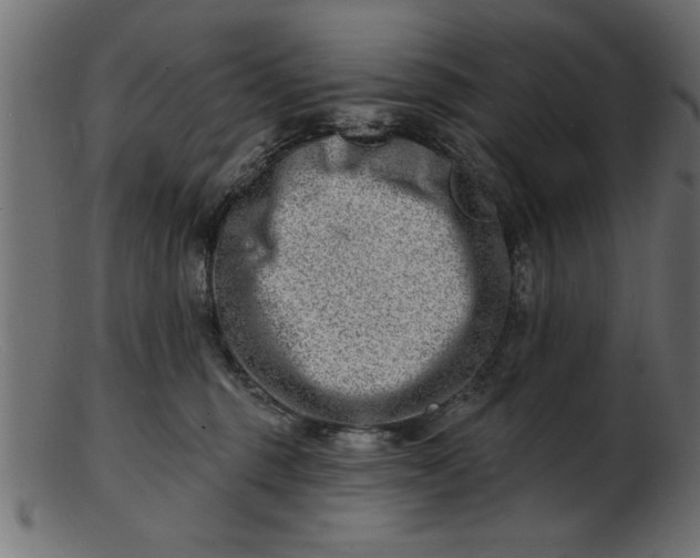 X0000103240375200809111602