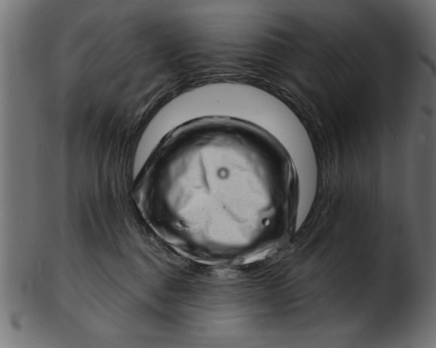 X0000103240376200809111602