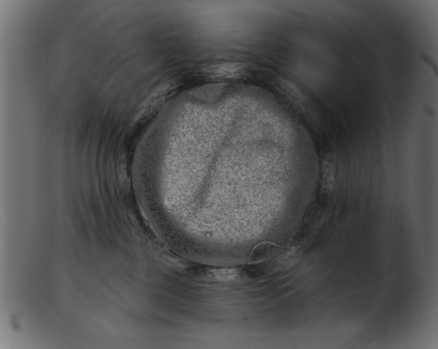 X0000103240377200809111602