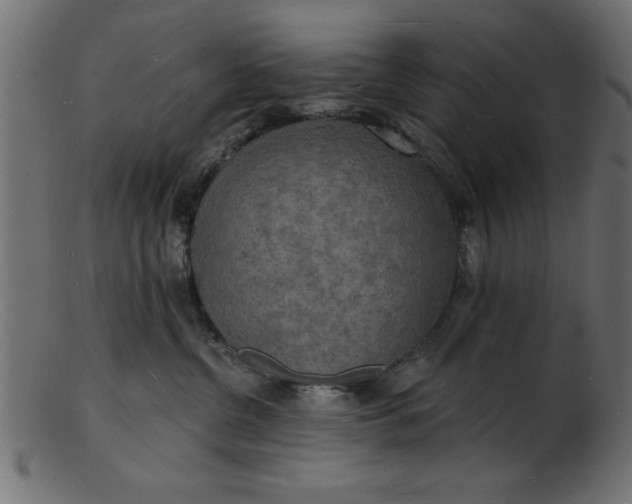 X0000103240380200809111602