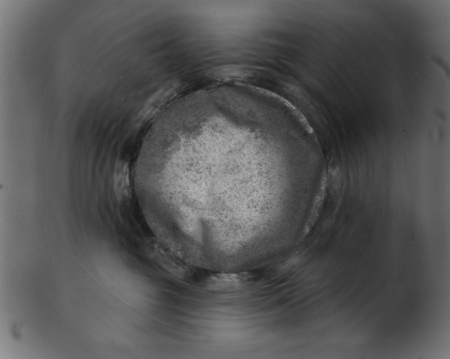 X0000103240381200809111602