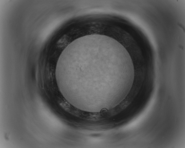 X0000103240382200809111602