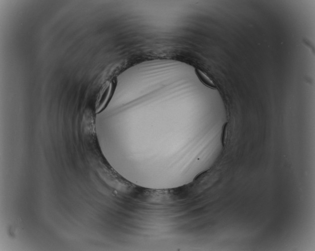 X0000103240384200809111602