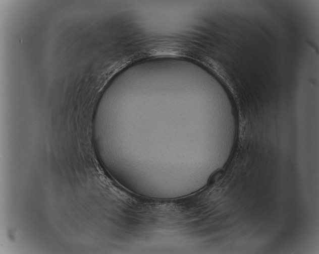 X0000103240385200809111602