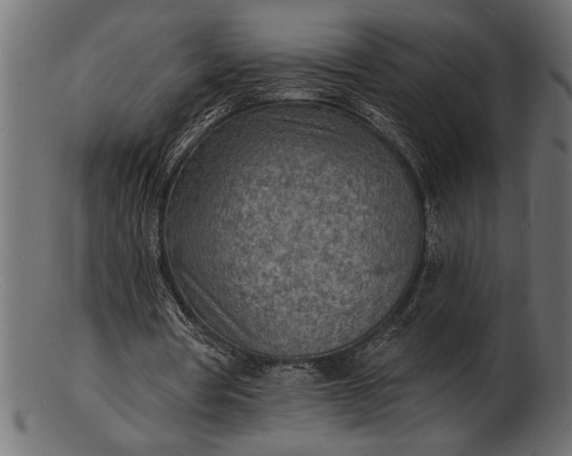 X0000103240386200809111602