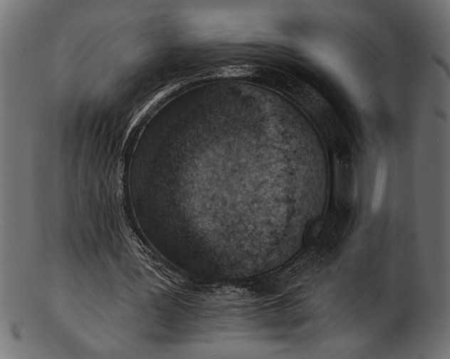 X0000103240387200809111602